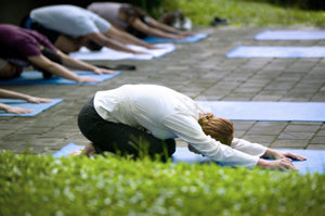 Yoga Seated Forward Bends for Beginners